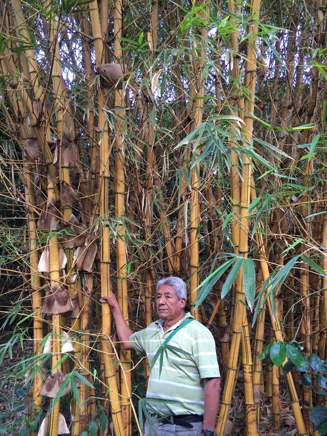 El Mangal Pansiyon Maranura Dış mekan fotoğraf